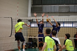 Clicca per ingrandire