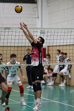 Clicca per ingrandire